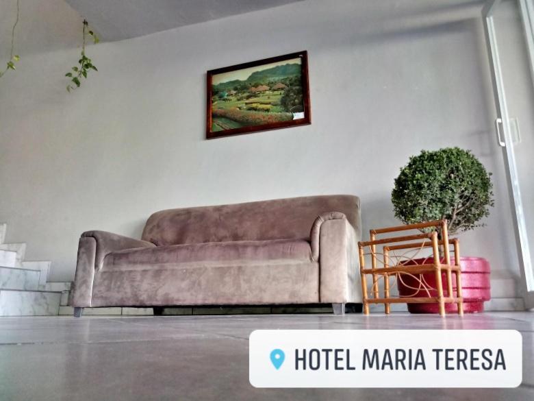 Hotel Maria Teresa Río Verde Dış mekan fotoğraf